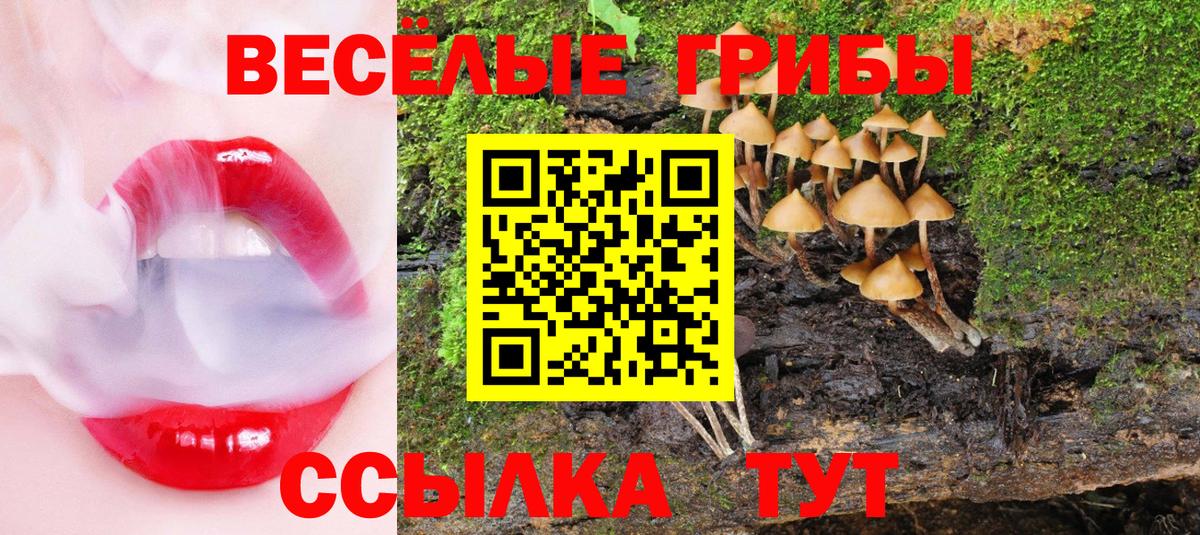 Галлюциногенные грибы прущие грибы  Вход с VPN  Мурманск 